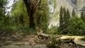 Yosemite LM31 Dolly CIrcular R El Capitan HD Footage