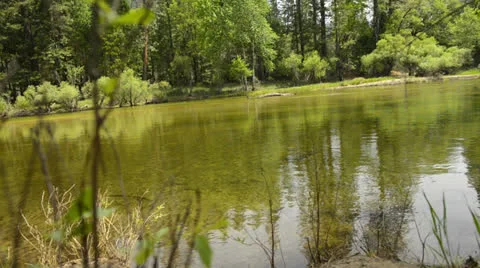 Yosemite LM63 Dolly Circular R Merced River Cathedral Beach Stock Footage