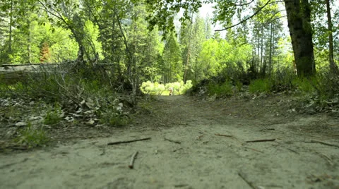 Yosemite LM64 Dolly Circular L Merced River Cathedral Beach Stock Footage