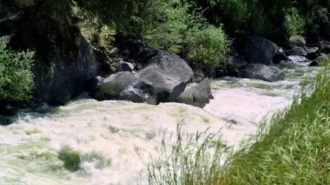 Yosemite, Merced river Stock Footage 77029475