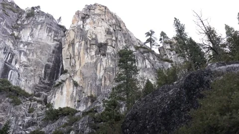Yosemite Mountains with Trees in Foreground, Gimbal Shot Stock Footage 145476389