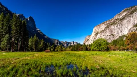Yosemite National Park Stock Photos