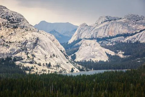 Yosemite National Park Stock Photos