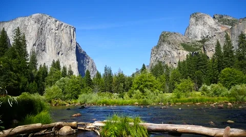 Yosemite National Park USA with River and Trees Stock Footage