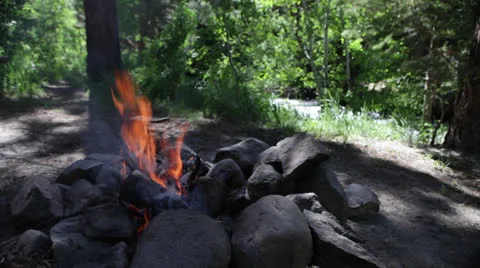 Yosemite Park Campfire 스톡 동영상 24791665
