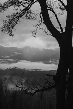 Yosemite Stock Photos