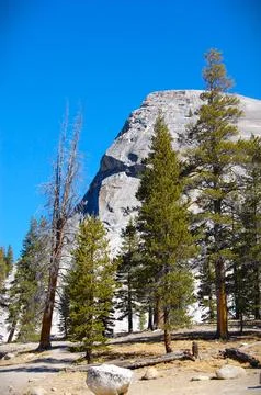 Yosemite Stock Photos