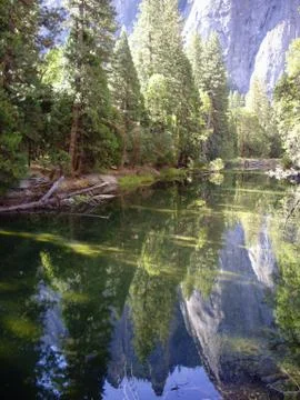 Yosemite reflections Stock Photos