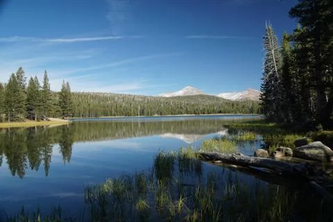 Yosemite in Spring Stock Photos