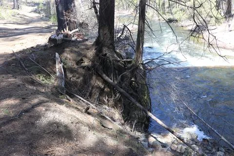 Yosemite in Spring Stock Photos