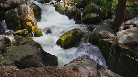 Yosemite stream water flowing over mossy rocks Stock Footage 58066751
