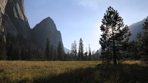Yosemite Valley fields on evening Stock-Footage 86371715