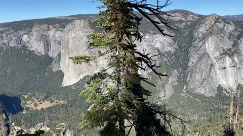Yosemite Valley from Rim Above Stock Footage 168955893