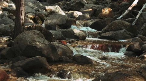 Yosemite Valley River Stock Footage 68779377