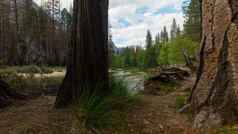 Yosemite Valley River Time Lapse Stock-Footage 102089080