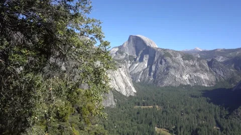 Yosemite Walking View of Half Dome Disappears Behind Branch Vídeos de archivo 130541144