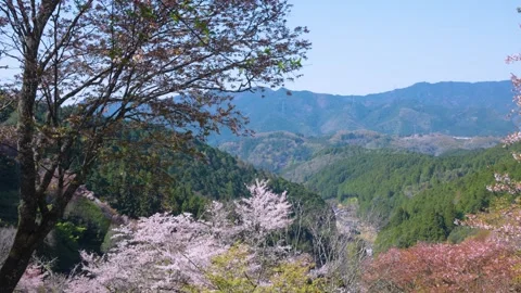 Yoshino Mountain and Valley in Spring, Nara Prefecture Japan Stock Footage 340180077