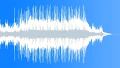 Like You 30 Stock Music