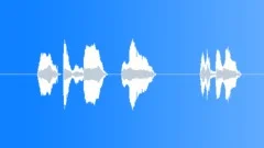 You are so lame Female VoiceSound Effect
