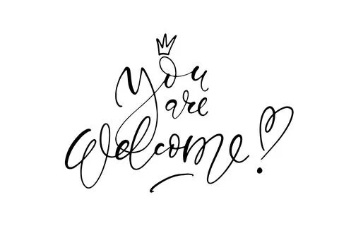 You are welcome vector script thin lettering phrase. Minimalistic elegant des Stock Illustration