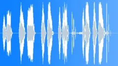 You Did - Female VoiceoverSound Effect