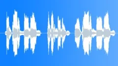 You Gotta See This - Female VoiceoverSound Effect