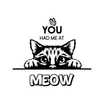 You Had Me At Meow. Vector Poster with Cat Quote and Monochrome Hand Drawn Black Stock Illustration