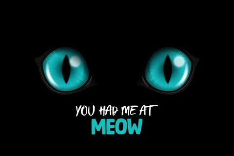 You Had Me At Meow. Vector 3d Realistic Blue Round Glowing Cats Eyes of a Black Stock Illustration