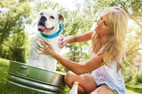 You lucky Im not in the mood for a fuss. a woman bathing her pet dog outside on Stock Photos