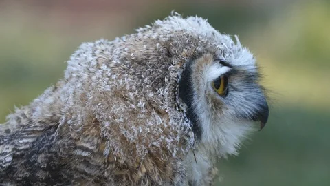 You talking to me Video stock 116117801