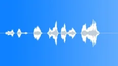You won not take me.. Sound Effect