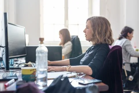 Yound devoted female software developers team working on desktop computer in IT Stock Photos
