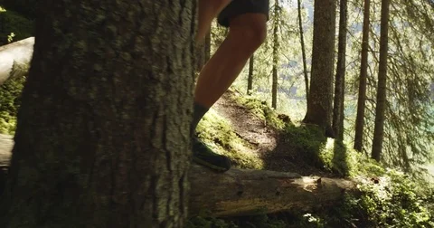 Young active man legs jumping a log near sunny forest woods path.Group of Video stock 76579603