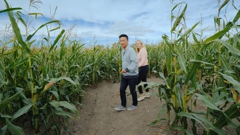 Young active multi-ethnic couple having fun in a corn maze Stock Footage 107184584