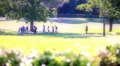 Young adults relaxing and playing at park HD Footage