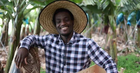 Young african man smiling in camera at banana plantation Stock Footage 151683946
