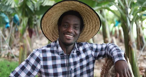 Young african man smiling in camera at banana plantation 動画素材 151683952