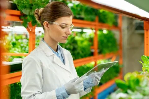 Young agricultural engineer using glassy panel Stock Photos