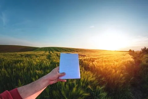 Young agronomist takes notes in a first-person notebook on a agricultural field Stock Photos