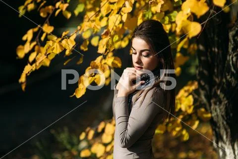 Young and pretty brunette girl in a dress and scarf stands near a beautiful big Stock Photos