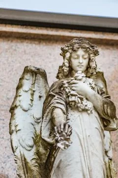 Young angel looking down Stock Photos