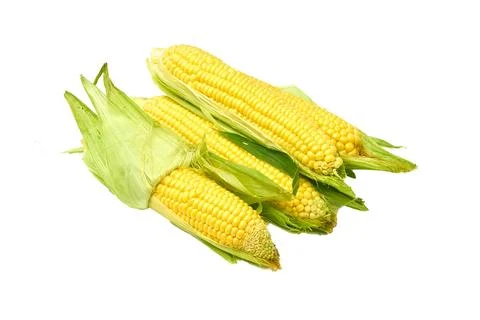 Young appetizing corn on the cob and peeled on a white background. Stock Photos