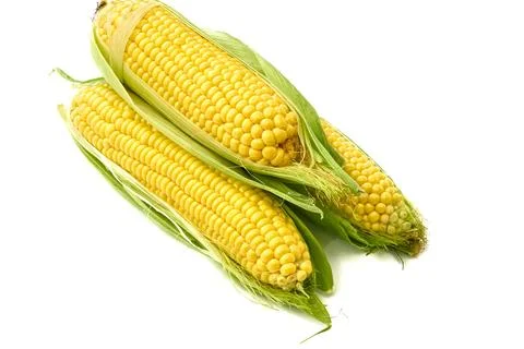 Young appetizing corn on the cob and peeled on a white background. Stock Photos