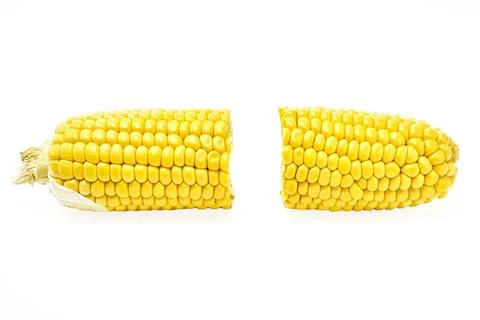 Young appetizing corn on the cob, cut in half and peeled from the leaves on a Stock Photos