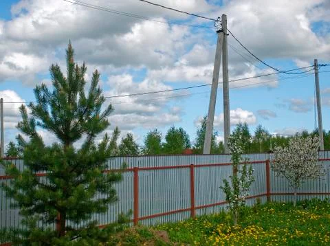 Young Apple trees on a summer plot in the spring Stock Photos