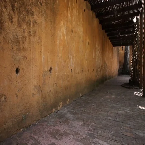 Young arabian man walks Stock Footage 69545356