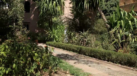 Young arabic man walking in park Stock Footage 68621495