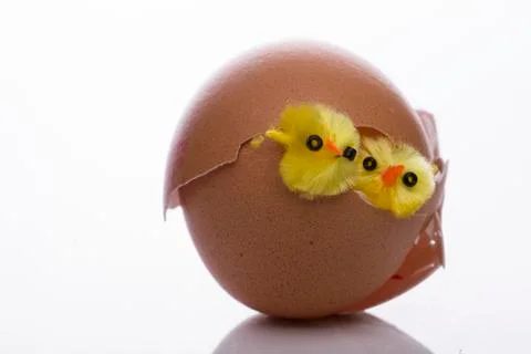 Young artificial chicklings Stock Photos