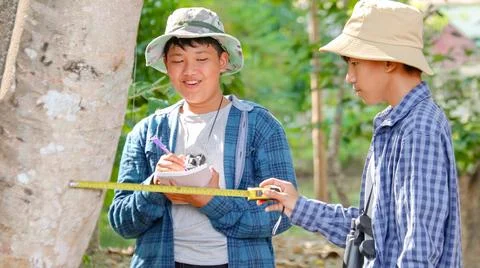 Young Asian boys are using a measure tape to measure a tree Stock Photos