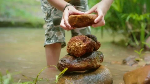 Young Asian child exploring nature by collecting and carefully stacking smo.. Stock Footage 346600741